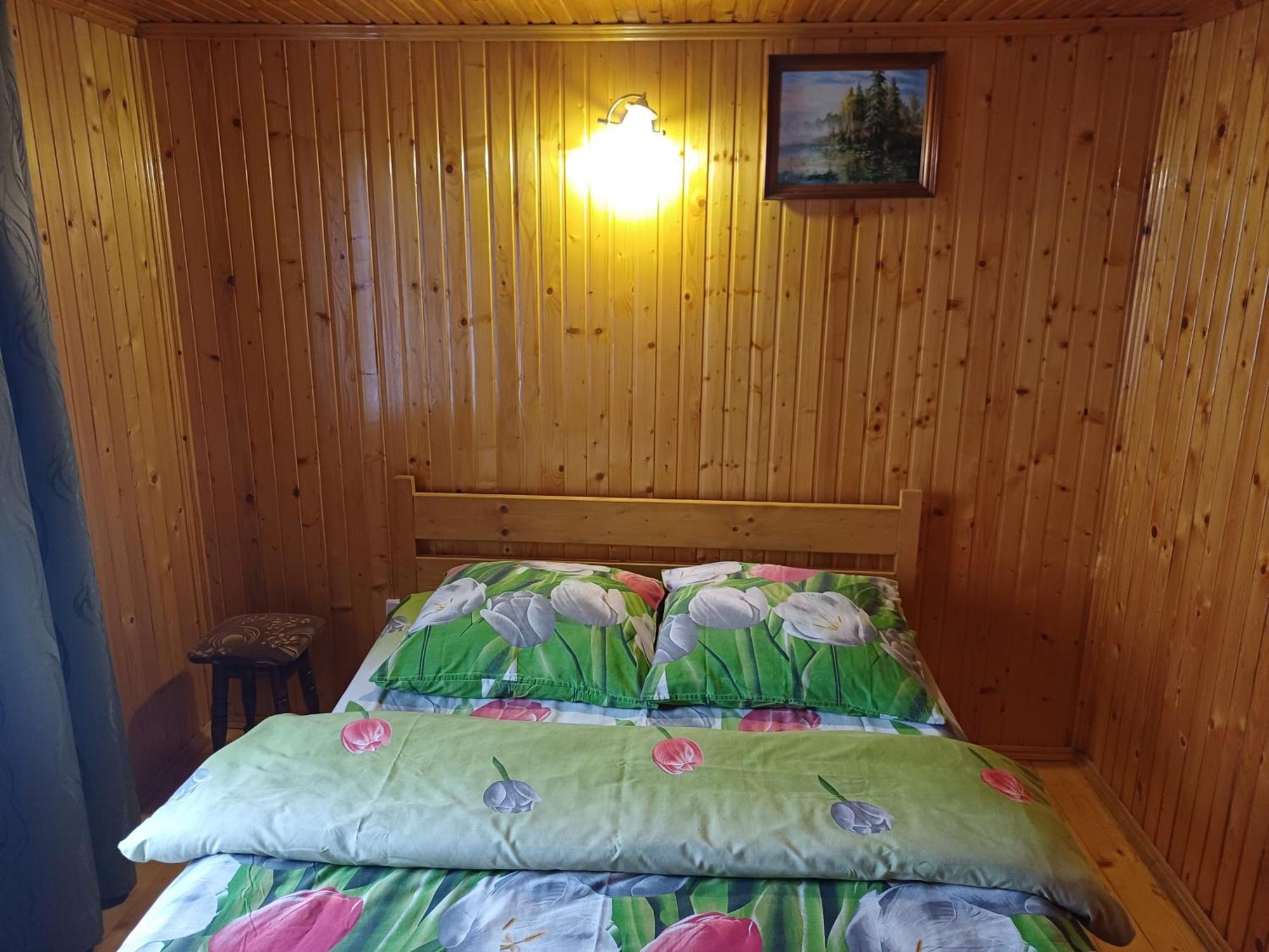 Green House Panorama Karpat Volosjanka Exteriör bild